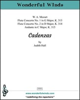 Mozart Flute Cadenzas cover